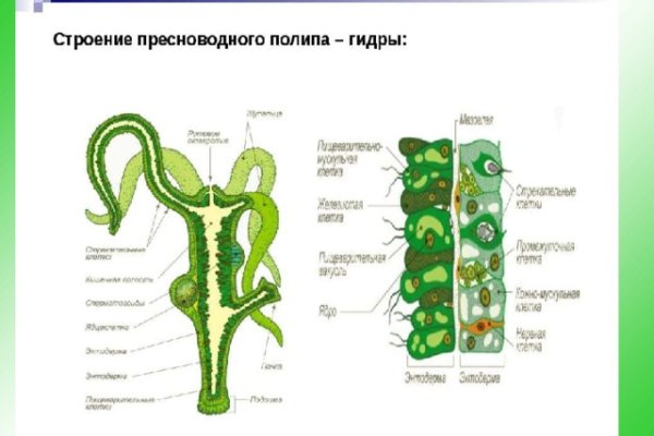 Кракен тор kr2web in