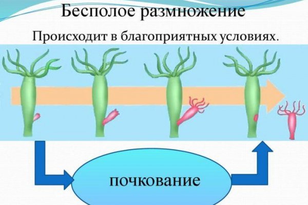 Сайты с наркотой